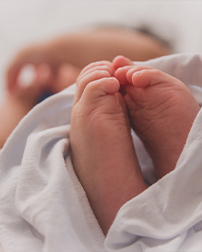 FERTILIDAD