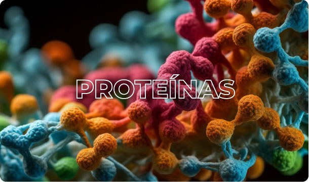 PROTEÍNAS