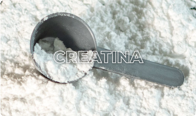 Creatina