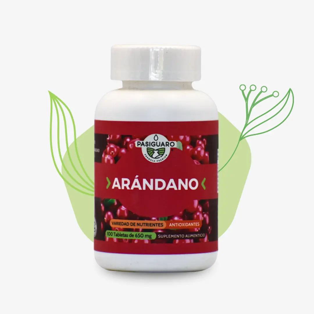 Arandano 100 tabletas – PASIGUARO