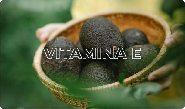 Vitamina E