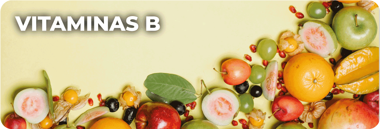 VITAMINAS B