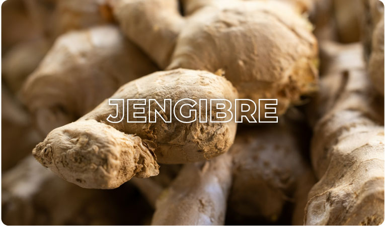 JENGIBRE